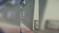 Un video publicado en Facebook muestra un altercado entre un vendedor ambulante de maíz en mazorca (elotes) y una pareja en una calle de Hollywood. El...