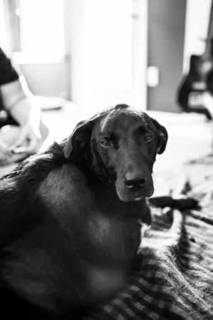 Además de pasar el mejor día de su vida, Duke fue fotografiado en cada una de sus últimas actividades, pues la familia Roberts quería conservar su memoria para siempre.