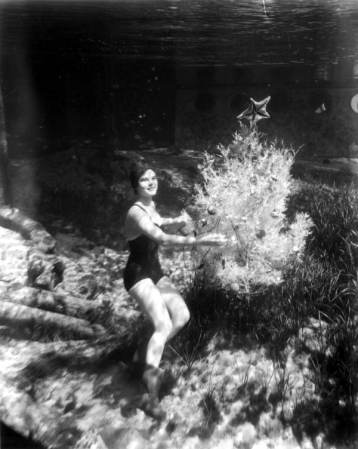Las fotos de "sirenas" eran comunes en los parques acuáticos de Florida, como esta tomada en Rainbow Springs en 1953.