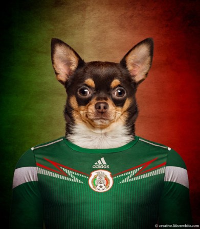 Chihuahua / México