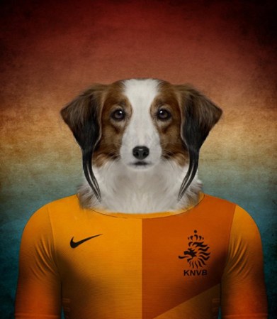 Kooiker Hound / Holanda