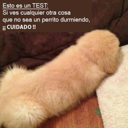 Algo que se desea se mantendrá en la mente todo el tiempo. Si no puedes sacarte la palabra sexo de la cabeza, es hora de preguntarte hace cuanto fue tu última vez.