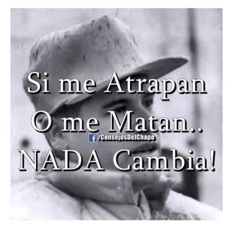 En las redes sociales, como ya es de costumbre, no se hizo esperar la reacción en “memes”, de la captura del narcotraficante más buscado del mundo Joaquín “el chapo” Guzmán.