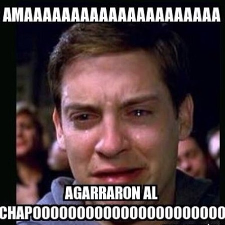 En las redes sociales, como ya es de costumbre, no se hizo esperar la reacción en “memes”, de la captura del narcotraficante más buscado del mundo Joaquín “el chapo” Guzmán.
