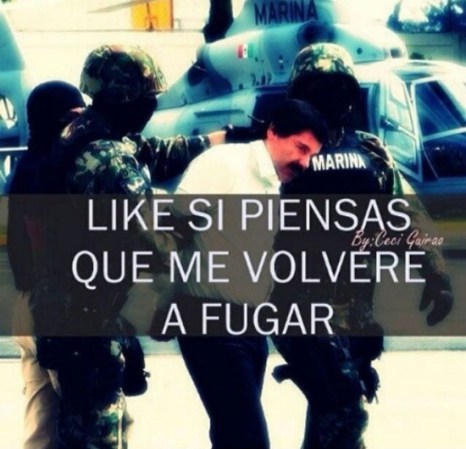 En las redes sociales, como ya es de costumbre, no se hizo esperar la reacción en “memes”, de la captura del narcotraficante más buscado del mundo Joaquín “el chapo” Guzmán.