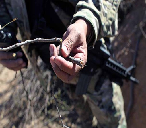 TOHONO O'ODHAM NATION, AZ - JANUARY 19: U.S. Immigration and Customs Enforcement tactical agent John Bothof checks broken branches while trying to track drug smugglers through the Sonoran Desert on January 19, 2011 in the Tohono O'odham Nation, Arizona. Bothof is a member of the Shadow Wolves, the only Native American unit of the U.S. Immigration and Customs Enforcement agency. The ICE unit tracks and interdicts drug smugglers crossing into the Indian reservation along a 72-mile stretch of the U.S.-Mexico border. (Photo by John Moore/Getty Images) *** Local Caption *** John Bothof