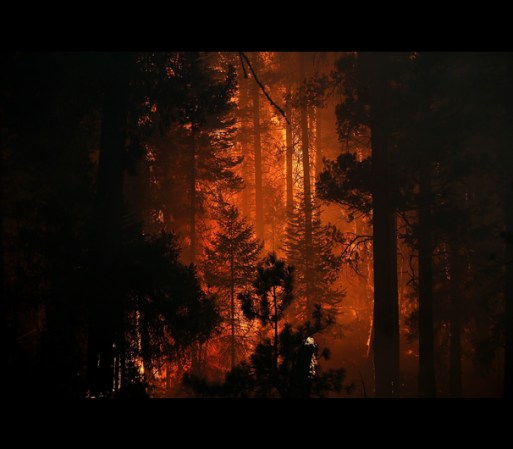 Un trágico e histórico incendio amenaza a Yosemite, un tesoro natural de la nación.
