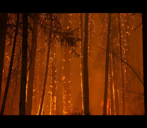 Un trágico e histórico incendio amenaza a Yosemite, un tesoro natural de la nación.
