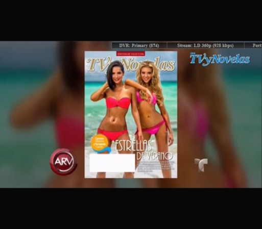 Cada año, decenas de estrellas de televisión desfilan para la edición mostrando mucho cuerpo.