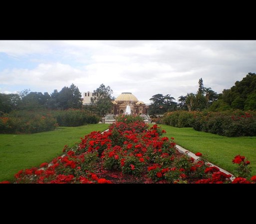 Jardín de Rosas del Parque Exposition<br />701 State Dr.<br />Los Ángeles, CA 90037