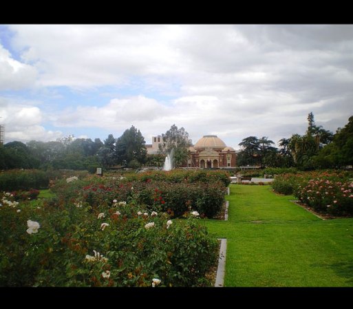 Jardín de Rosas del Parque Exposition<br />701 State Dr.<br />Los Ángeles, CA 90037