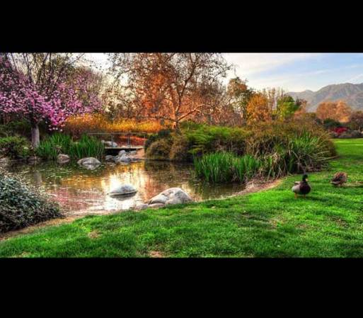 Jardín Botánico del Condado de Los Ángeles<br />301 N. Baldwin Ave.<br />Arcadia, 91007