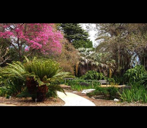 Jardín Botánico del Condado de Los Ángeles<br />301 N. Baldwin Ave.<br />Arcadia, 91007
