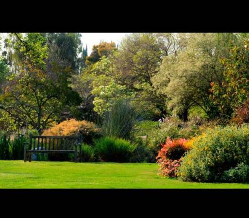 Jardín Botánico del Condado de Los Ángeles<br />301 N. Baldwin Ave.<br />Arcadia, 91007