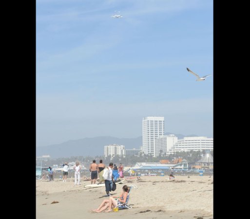 Un día de tranquilidad en la playa, se convirtió en algo histórico para todos los ahí presentes.