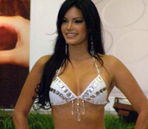 La versión oficial, es que Gabriela Fernández colaboraba con el capo, trasladándolo de un sitio a otro, en territorio venezolano, al igual que los otros detenidos.
