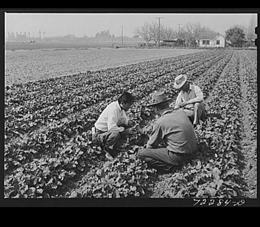 En la medida se dijo que esa acción en contra de tantas personas de origen japonés, fue causada por racismo, pánico causado por la guerra y falta de liderazgo político.