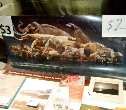 Uno de los productos de este puesto que mas llamó la atención de todos, fue un cartel que muestra la fauna que existió en México en la edad de hielo.