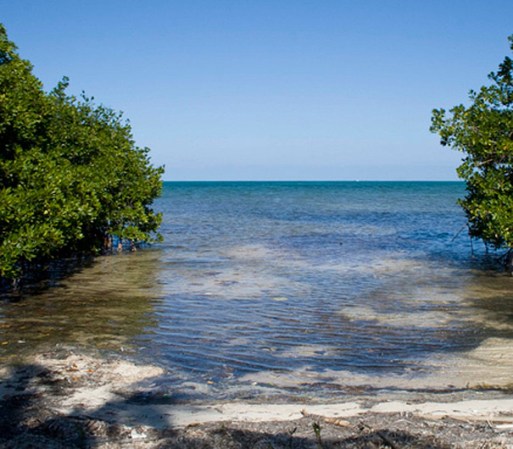 BIÓSFERA SIAN KA´AN, YUCATÁN. Este es un maravilloso espacio natural declarado Patrimonio de la Humanidad por la Unesco en el año 1987. Aquí podrás pasar un tiempo en comunión con la naturaleza.