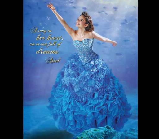 ¿Tú qué opinas de esta línea de vestidos para quinceañeras?