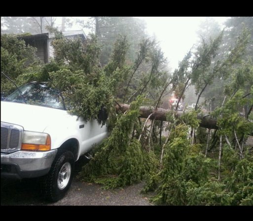 Así mismo, ciertas compañías están ofreciendo seguros de casa para cuando ocurran daños a causa de una tormenta.