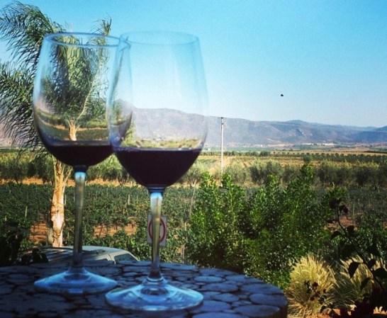 Vino. En Baja California se produce 80% del vino mexicano, ya que es una zona privilegiada por sus características climáticas.