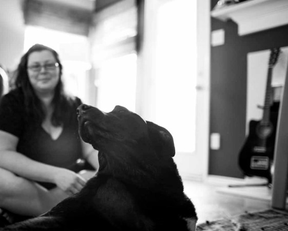 Las fotos del último día de Duke se volvieron virales y la historia del perro con cáncer dio la vuelta al mundo.
