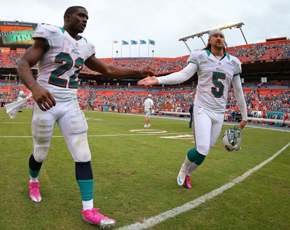 Los Miami Dolphins impusieron su potencia ante los Rams de Saint Louis, con una victoria 17-14.