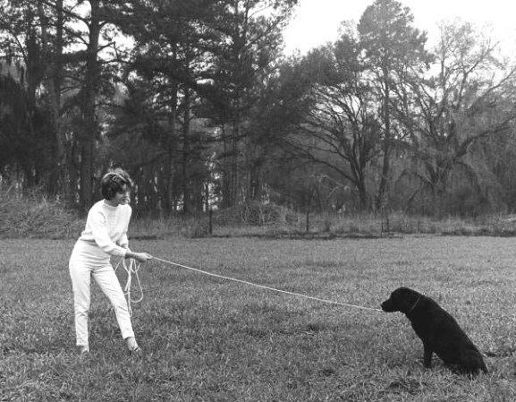 El perro no quiere. El fotógrafo sí. (Lugar no identificado, 1953)