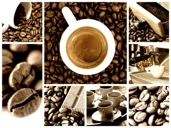El café puede ser el mejor amigo de tu cerebro. El café puede ayudar a reducir el riesgo de demencia y Alzheimer, esto gracias a los antioxidantes de esta bebida.