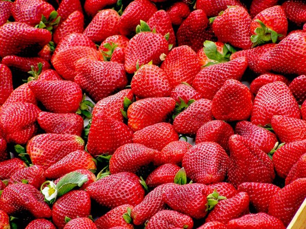 Las fresas no sólo ayuda a blanquear los dientes, sino que además, son ricas en Vitamina C y hierro, mineral encargado de llevar oxígeno a las células, y cuya deficiencia puede hacernos sentir cansados.