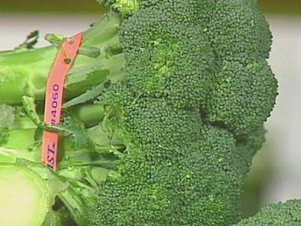 Las frutas y verduras son escenciales para sentirse con energía y con sentimientos de felicidad. Debe incluir en su alimentación al menos una ración de brócoli, coliflor o calabaza.