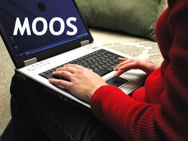 Member Of Opposite Sex "Miembro del Sexo Opuesto"