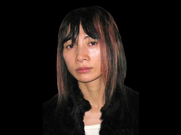 La actriz Bai Ling fue acusada de robarse dos revistas y unas baterías en el Aeropuerto de Los Angeles.