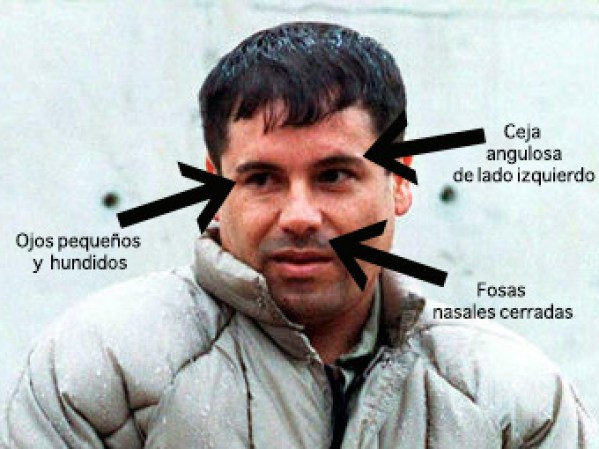 Alguien empleó una foto de Guzmán para resaltar sus particularidades físicas.