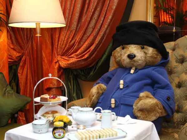 El oso de peluche Pennington, amo de casa.