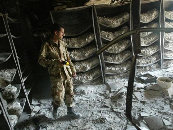 ENERO, 2005: Irak.