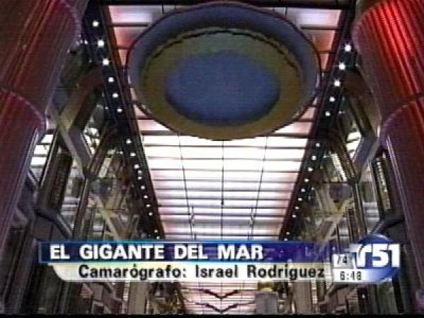 Un verdadero coloso de los mares, el crucero Freedom of the Seas.
