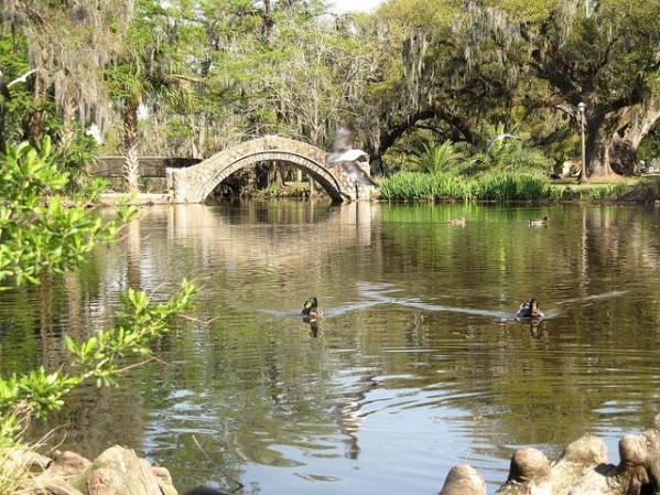 CITY PARK: Situado en el corazón de Nueva Orleans, City Park es un lugar popular para hacer picnic, pasear por sus jardines o tomar un paseo en barco.
