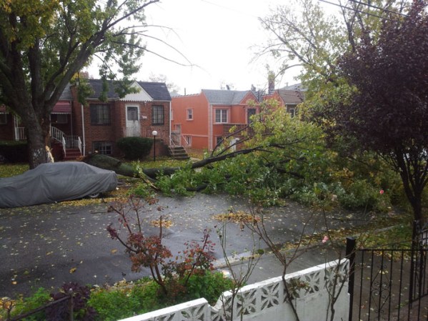 south ozone park