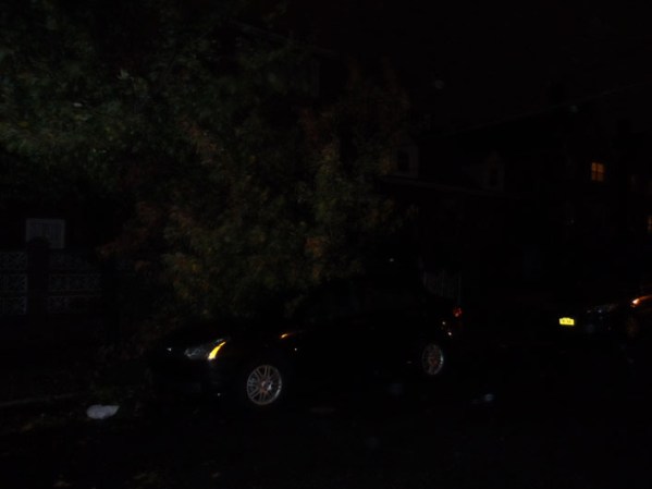 Arbol encima de un automovil.
