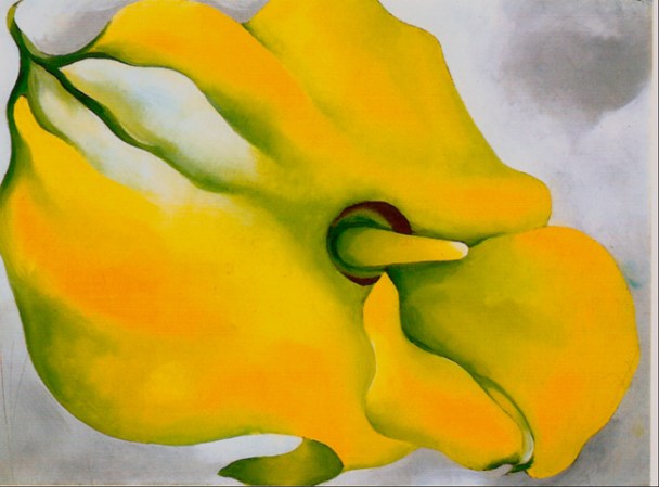 O'Keeffe era notable por la pureza y claridad compositiva de sus naturalezas muertas y flores. Obtuvo fama como pintora de la sexualidad femenina.