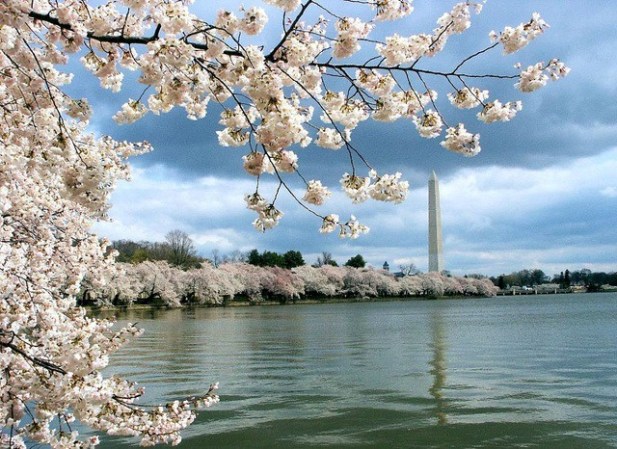 Además de la vista a la Casa Blanca, el Obelisco insignia y los hermosos cerezos, Washington, D.C. es la ciudad que tiene el salario mínimo más alto del país: 9.32 dólares por hora. ¡Nada mal, verdad?