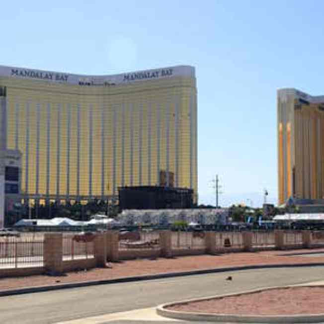 Muere en un choque pareja que sobrevivió al tiroteo de Las Vegas