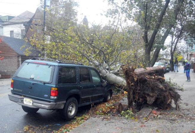 Arbol aplasta auto.