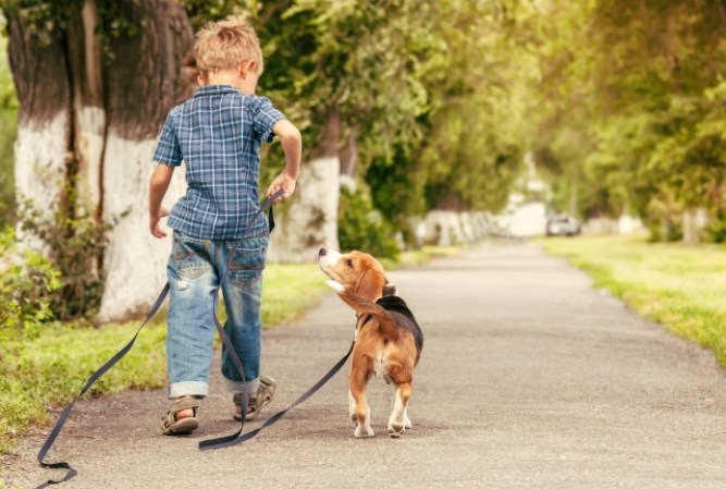 6. Mito de la granja. Alguna vez te dijeron que tu querida mascota, esa que se convirtió en tu compañera de juegos, se mudó de domicilio a una granja lejana, donde vive feliz y tiene mucho espacio para correr.