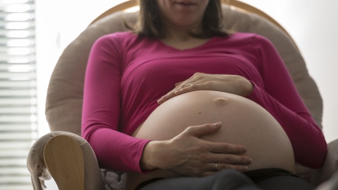 Guerra contra los "hoteles de maternidad"