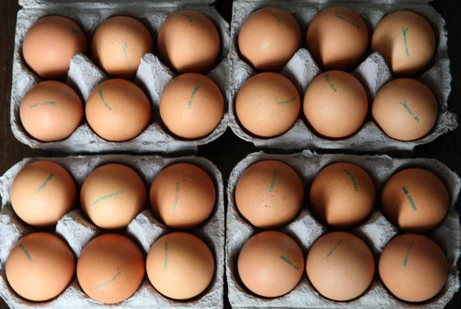 En la peor apuesta de su vida Dhaou Fatnassi, un joven tunecino de 20 años, murió intoxicado luego de comerse 28 huevos crudos.<br /><br /><br /> Muere por atracón de huevos <br />