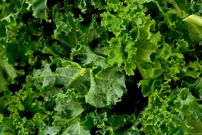 1.- Verduras de hoja verde: Mientras más intenso sea el tono de verde, mejor. Acelgas, lechugas, espinacas, berro, brócoli, aportan hierro, magnesio, zinc y vitaminas A, E y C que estimulan la segregación de las sustancias sebosas responsables de mantener el cabello hidratado de forma natural.