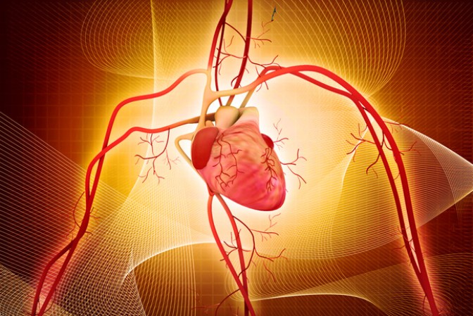 2.- Aunque no es una alternativa del ejercicio, aporta un incremento importante en tu actividad cardiovascular y aumenta el ritmo respiratorio, ejercitando el corazón.